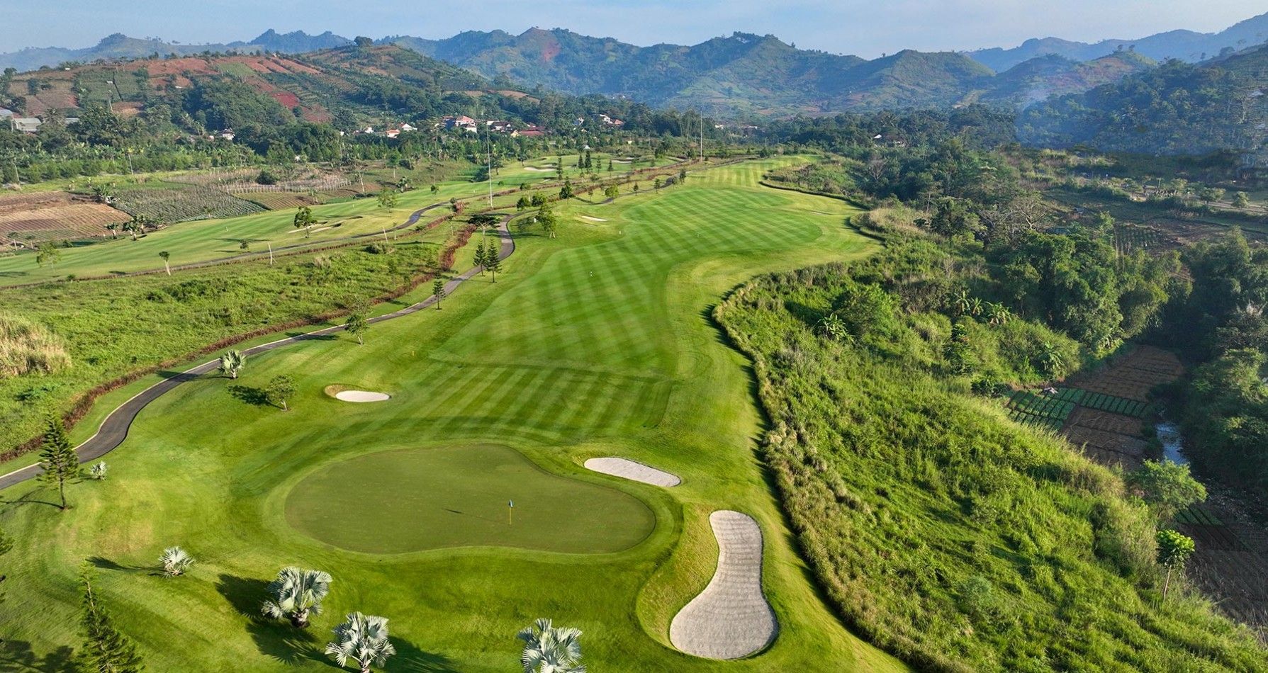 field3.jpg