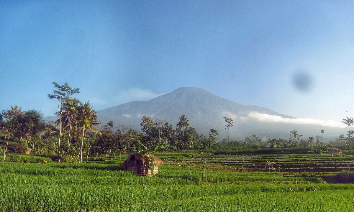 tiket masuk gunung slamet